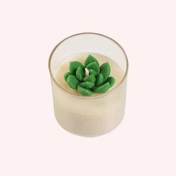 Luxury handcrafted scented soy candles